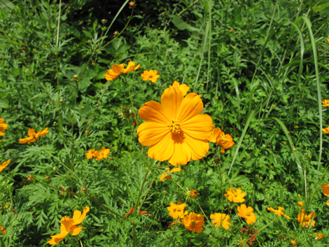 20140922hike (57)